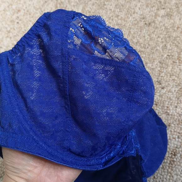 38D Panache Envy Bra - Picture 2 of 11